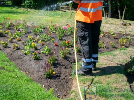 <span style="font-weight: bold;">Благоустройство участков, спил деревьев</span>